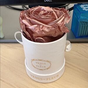Venus Et Fleur Single Rose Metallic Rose Gold